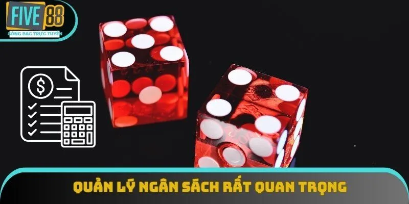 Quản lý ngân sách rất quan trọng khi chơi tài xỉu online