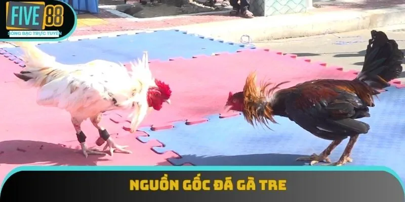 Nguồn gốc đá gà tre