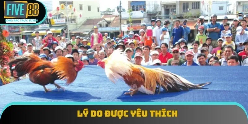 Lý do được yêu thích