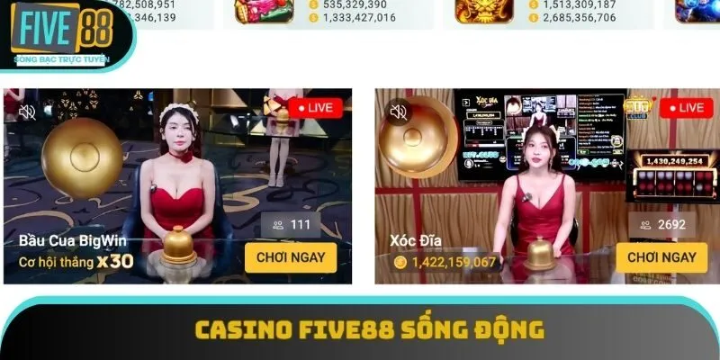 Thành viên tham gia sòng bài chân thực, sống động như thật Thành viên tham gia sòng bài chân thực, sống động như thật